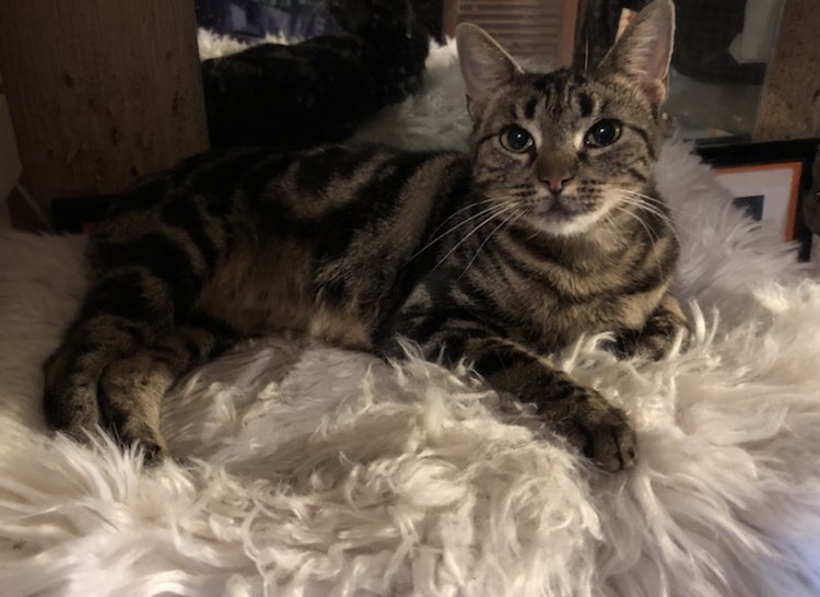 416881073_6771487312980647_4223641287305991083_n