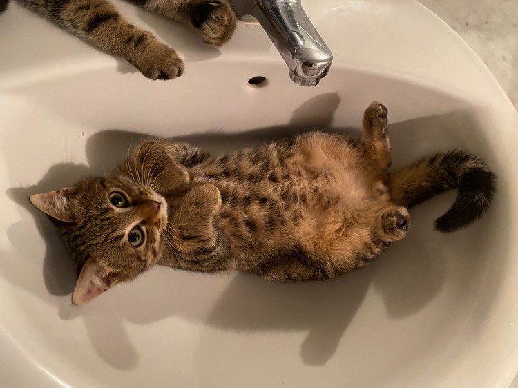 416890878_1097453128099795_6995247989255319277_n