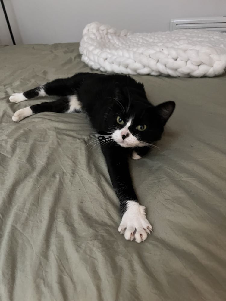 416978105_1051466559237705_1260763816671905957_n