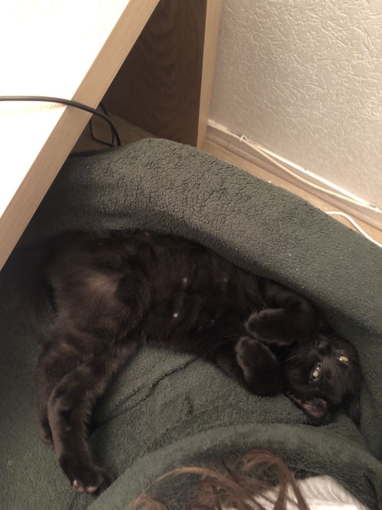 416993143_3787543571568892_1564777339604252694_n