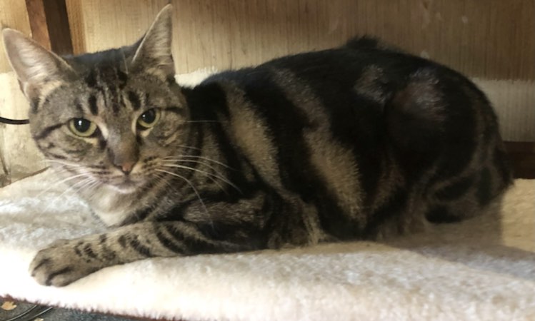 417056261_690258396471228_8599358653975057777_n