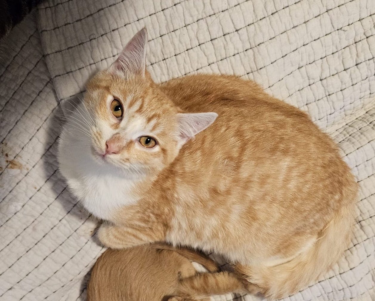 417157679_7309060319154278_8495150593789430998_n