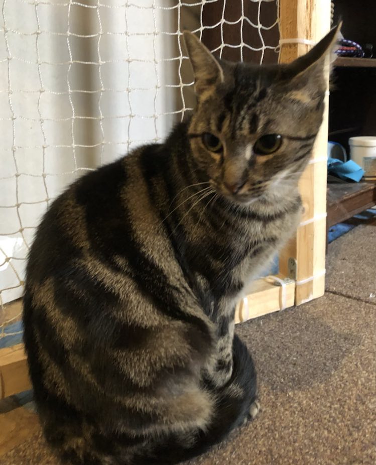 417173892_935986944078103_4852423642296914666_n