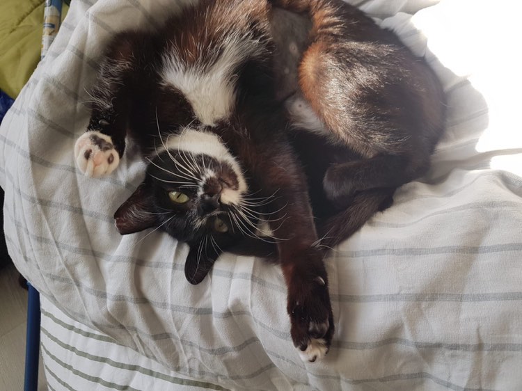 417219063_347517721540296_73247404594332020_n