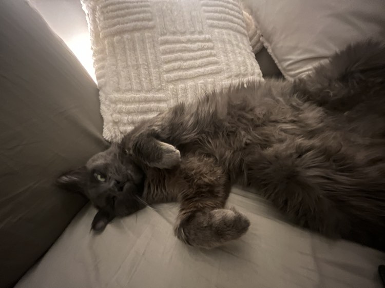 417236594_1038690060556368_5570109830371232485_n