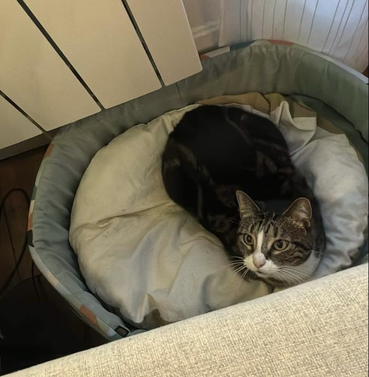 417270421_1051272739491709_47834604267031041_n