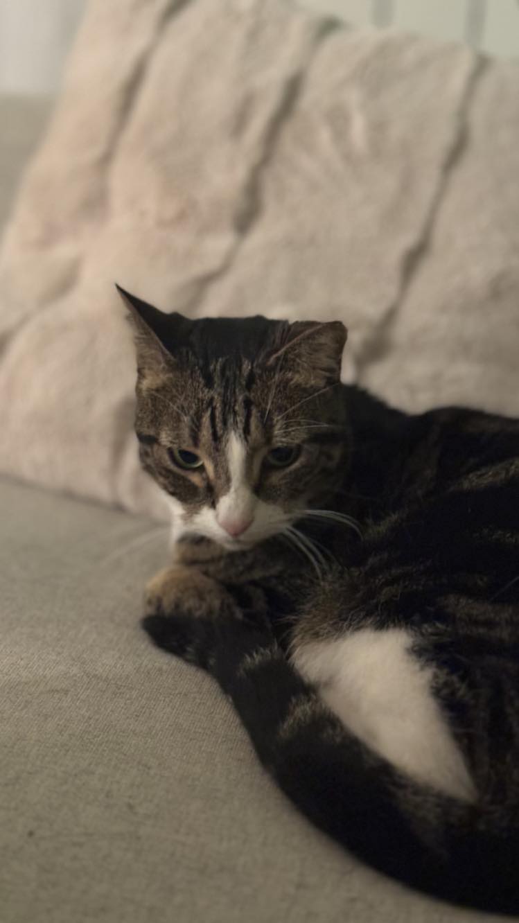 417280940_910387637473601_6490192250457634758_n