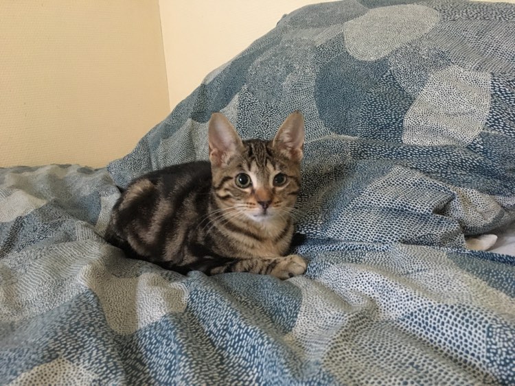 417289095_597005092613908_8268107118025521544_n