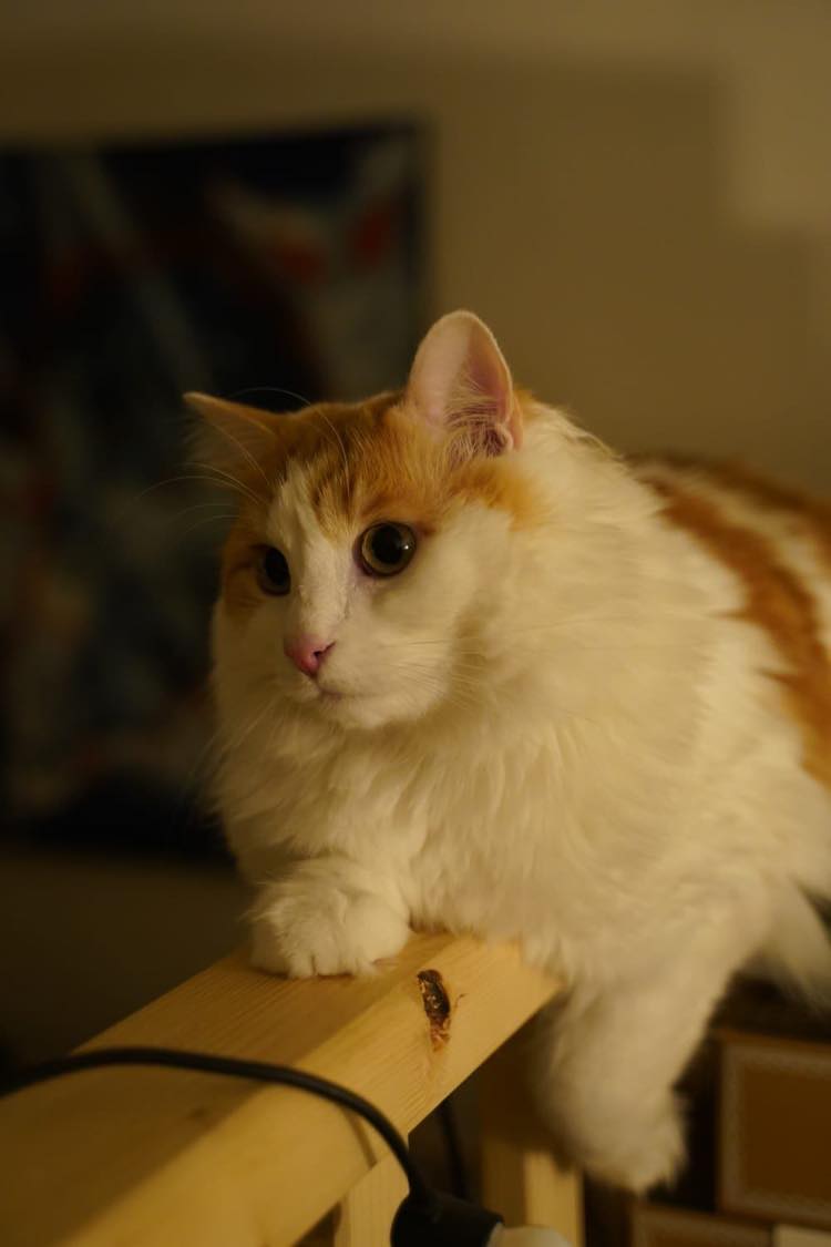 417289781_1042067240220432_262697208661221289_n