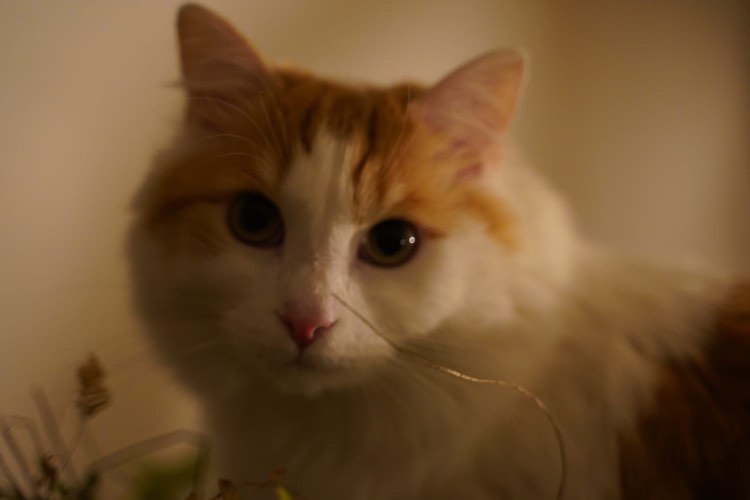 417298531_1613455382748219_1609285875274617196_n