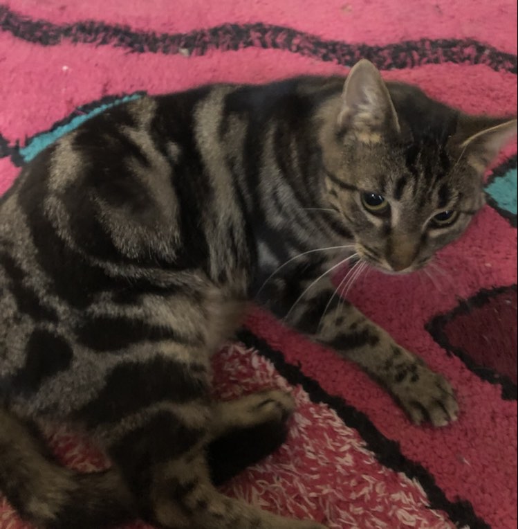 417425868_1078703499837099_4333501086643337599_n