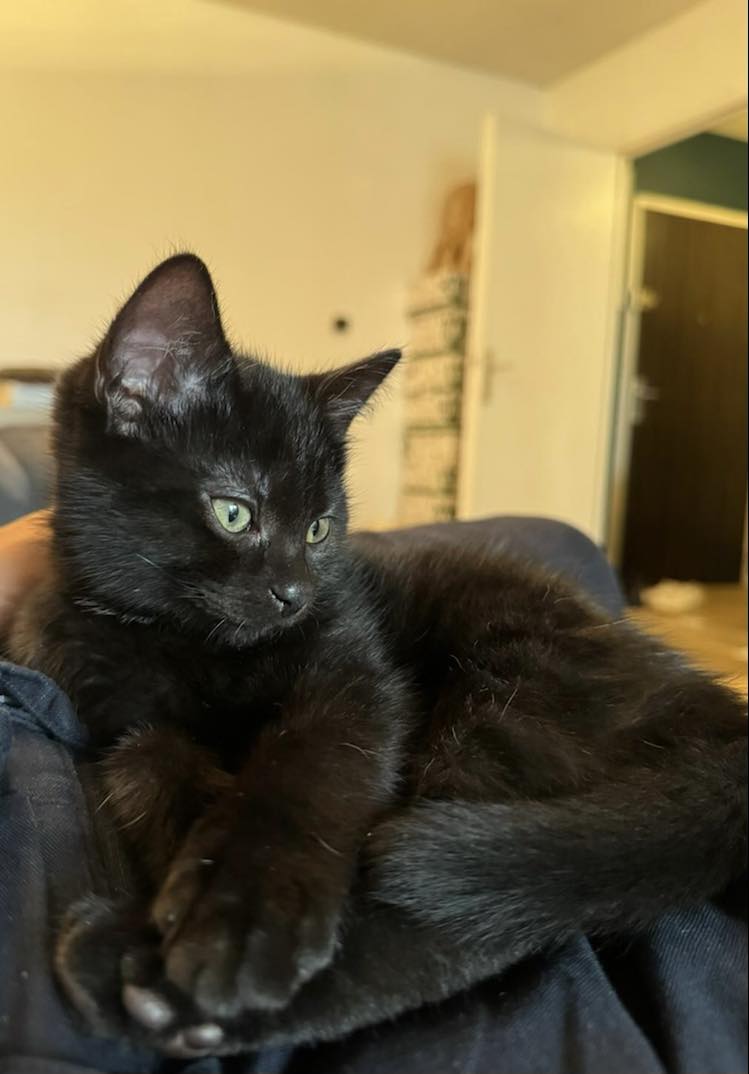 417438860_1192522122134551_8706089488033083966_n