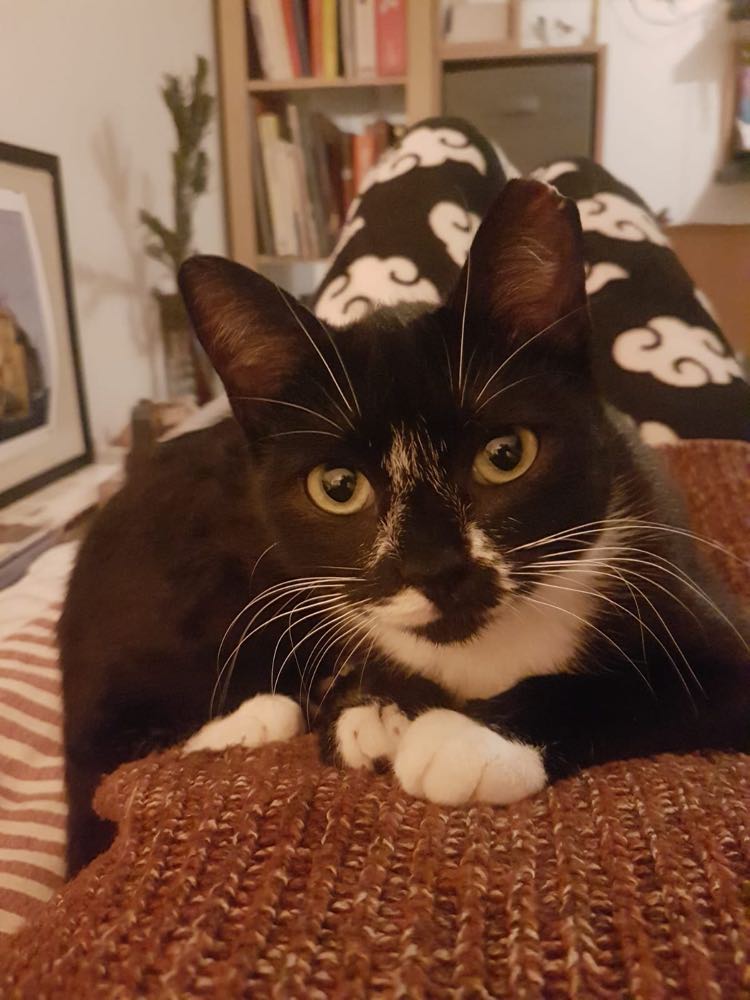 417586987_372993865428147_7922899094491806239_n