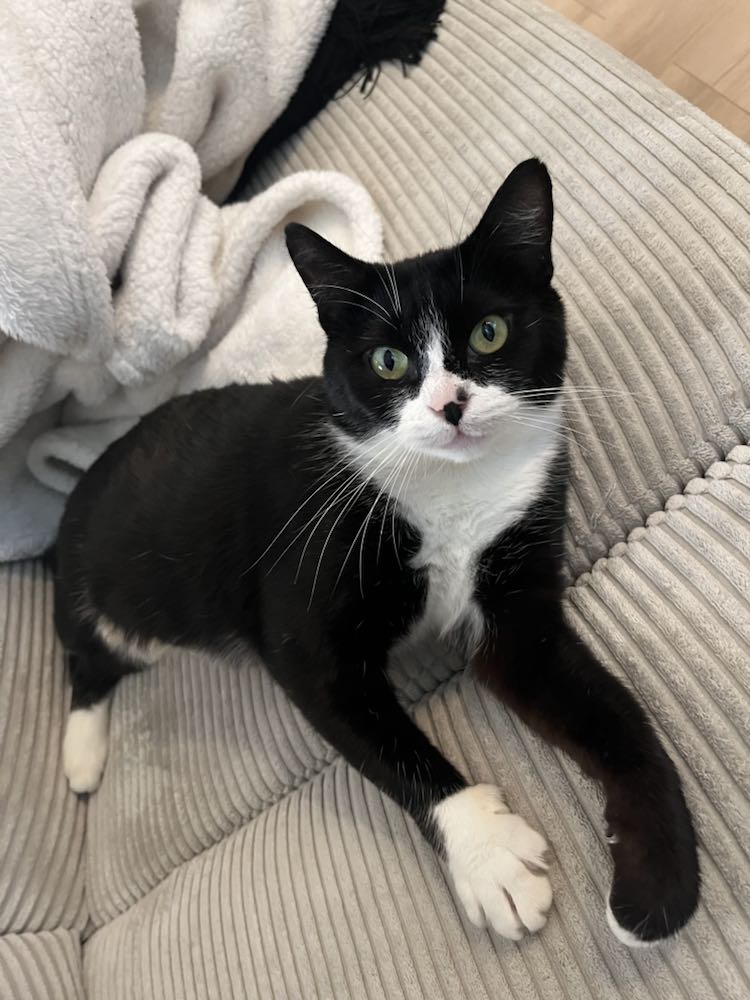 418707213_353296904099982_5150208980846173389_n