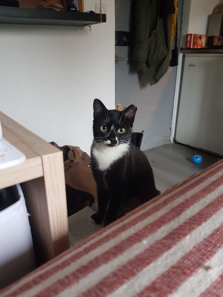 418709335_1449904705906945_6921431398471886977_n