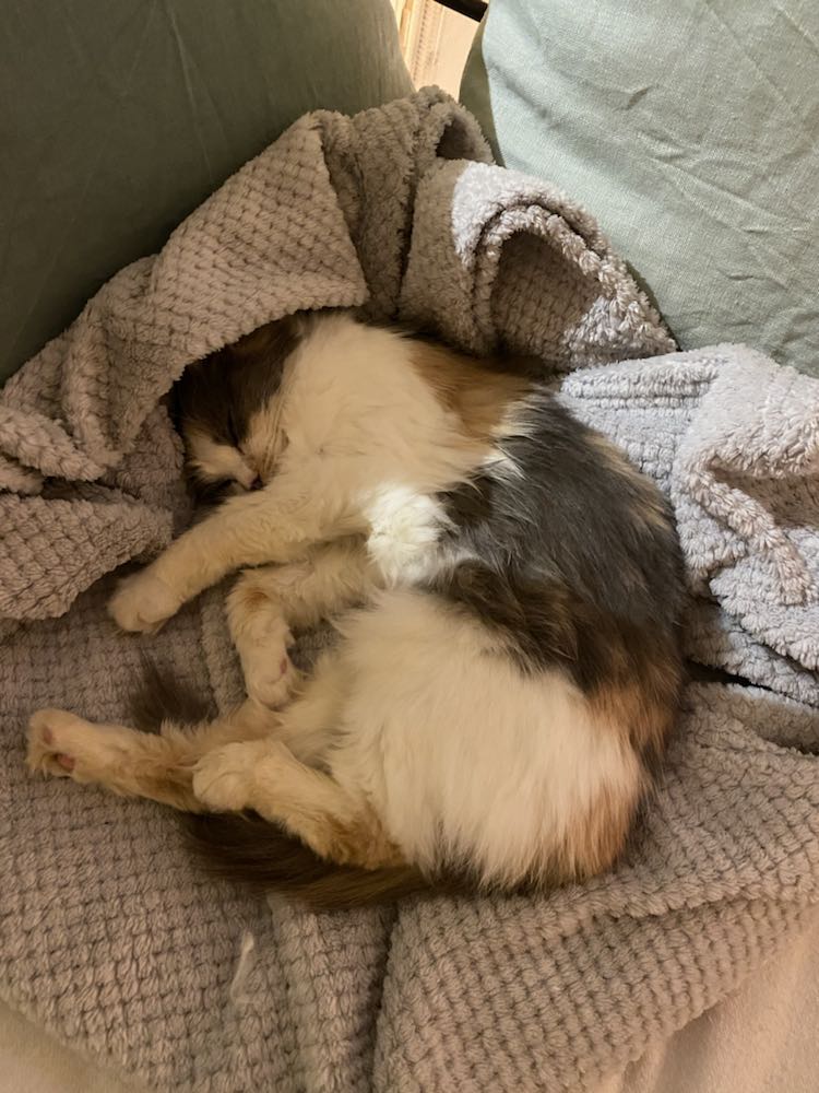 418723610_282545301511630_7491792299757162178_n