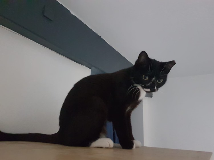 418730074_749155866792088_5004610260857212332_n