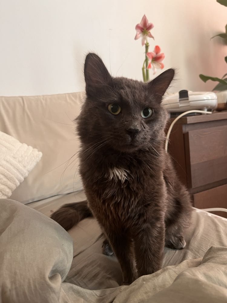 418731841_4345519465673204_4912786869904684816_n