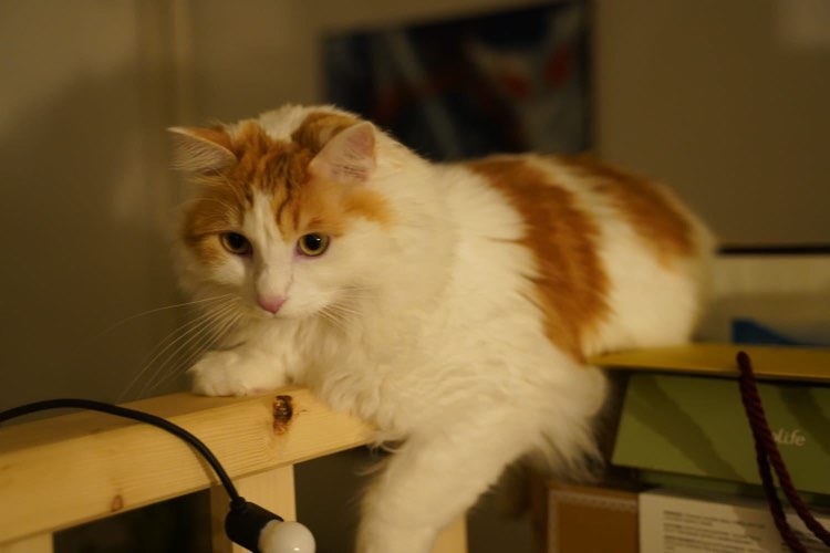 418735697_1097703864753400_882665818327487866_n