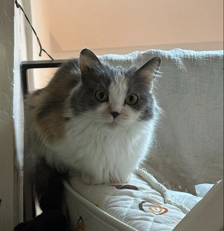 418738904_714237414186407_4969038198181518309_n