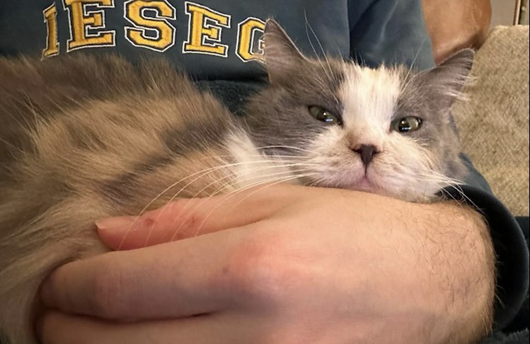 418771667_354296144118000_2066875140391858781_n