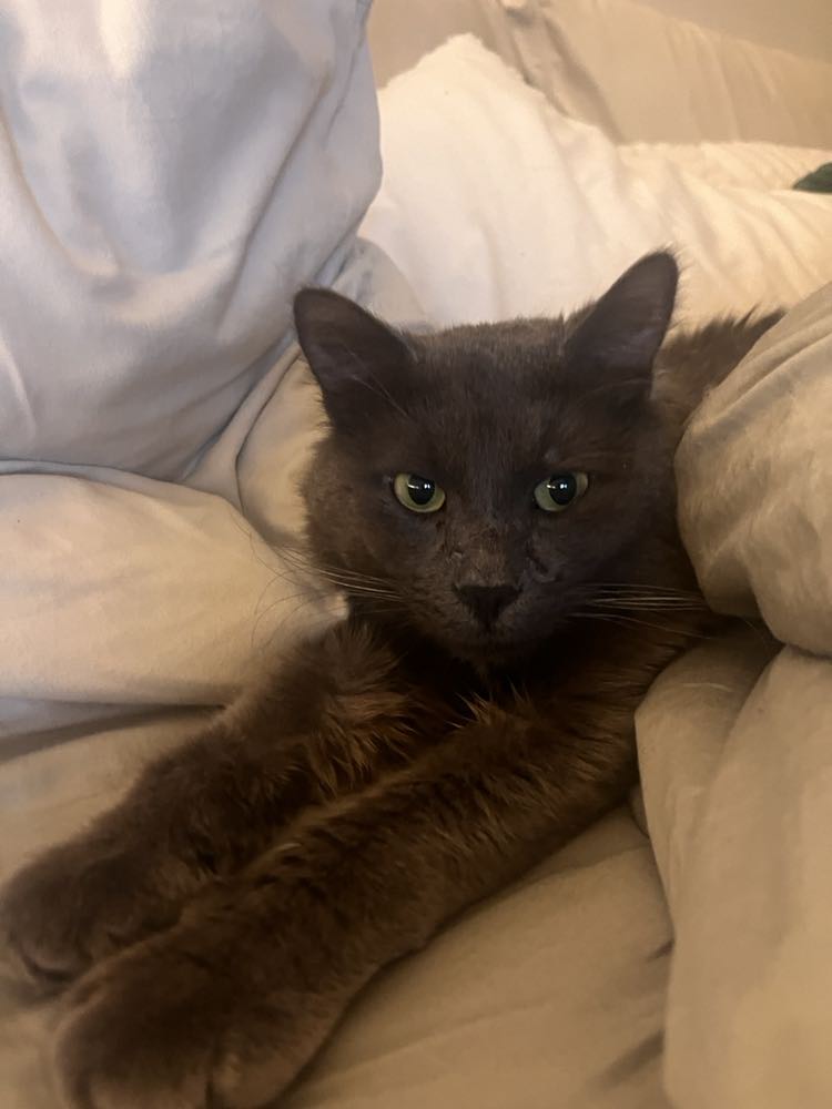 418867247_3517212121828583_3892531449958447704_n