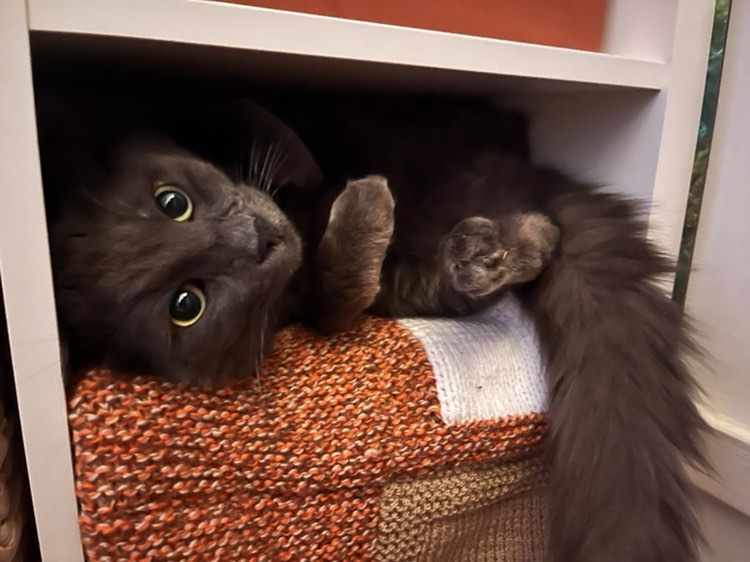 418898594_384354947519772_2556938973536544553_n