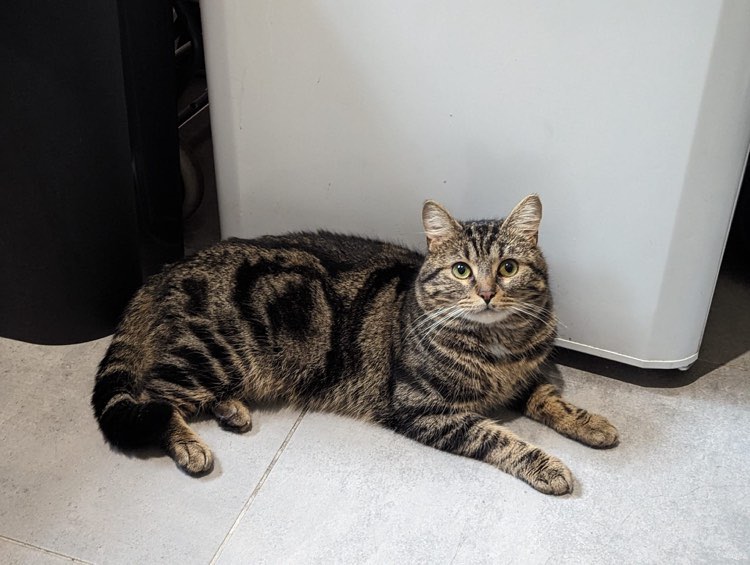 418898597_1443357246391218_8670136011205130857_n