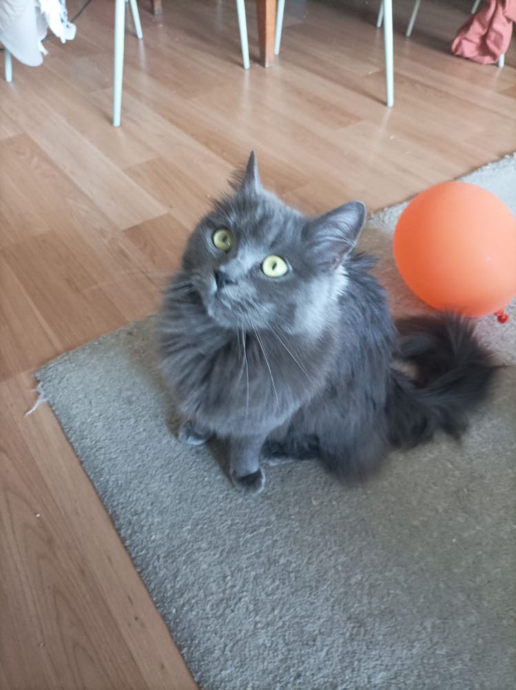 418901605_653065176848694_1174681599940806619_n