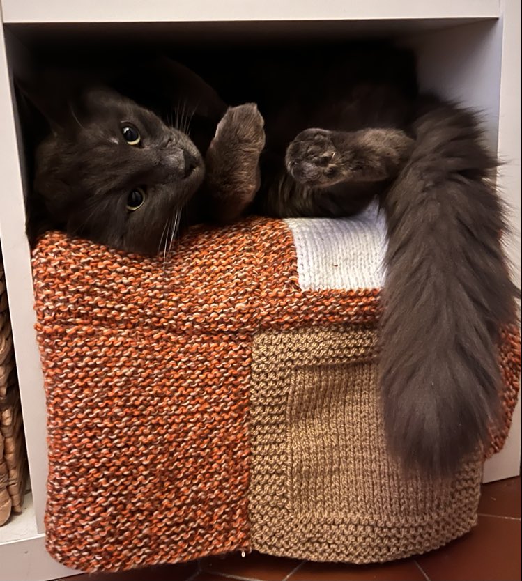 418923150_298247839918842_149836633476677580_n