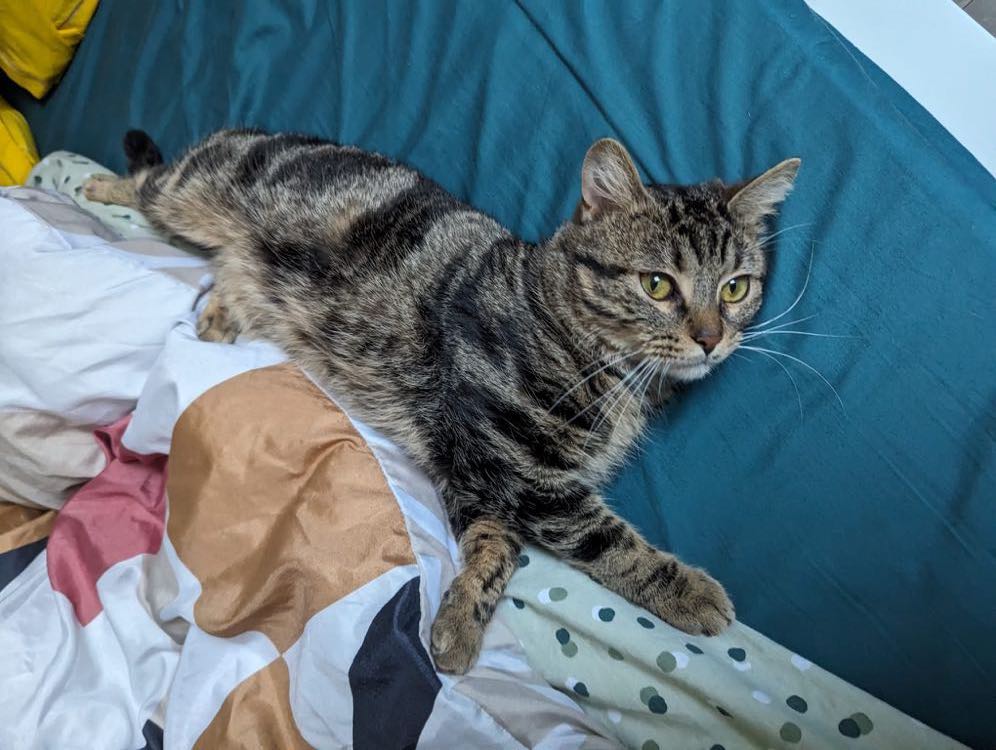 418934469_752776313123227_4979893982630047646_n