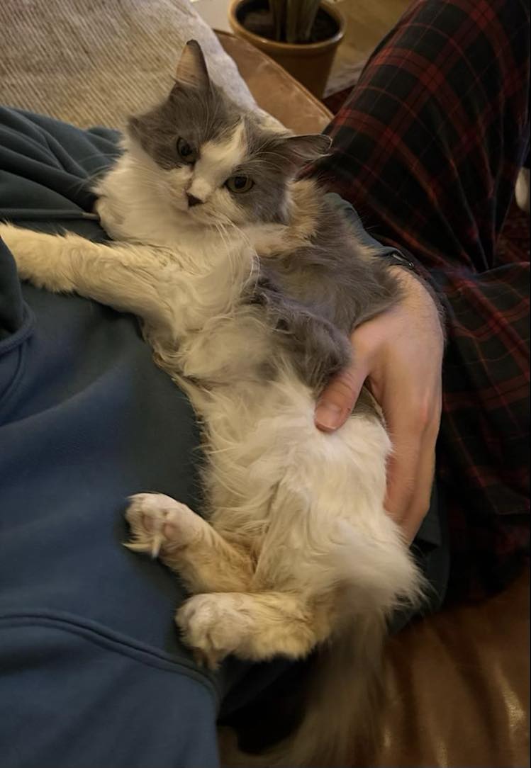 418943064_2105151353234877_1100731398270701894_n