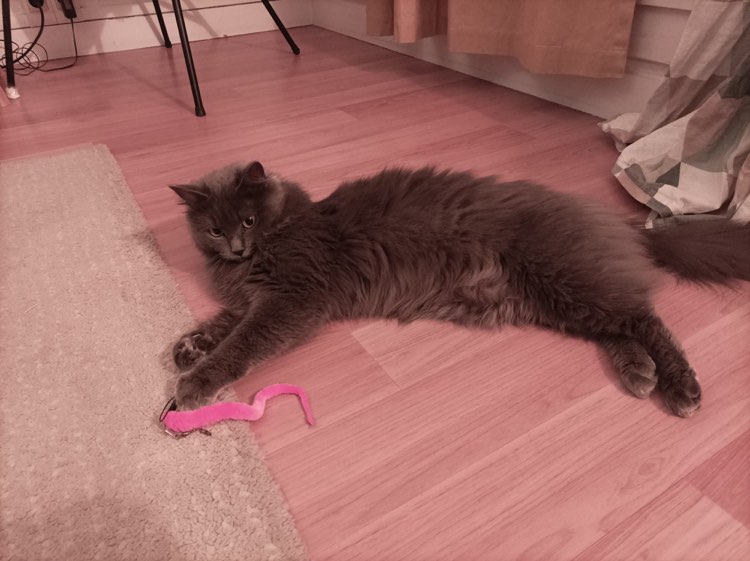 418961830_417917390670979_5572048100743736427_n