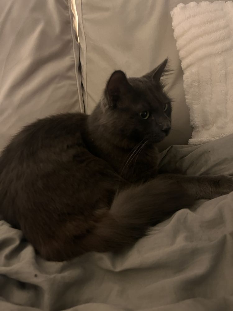 418981208_286035027514785_9013464575988890187_n