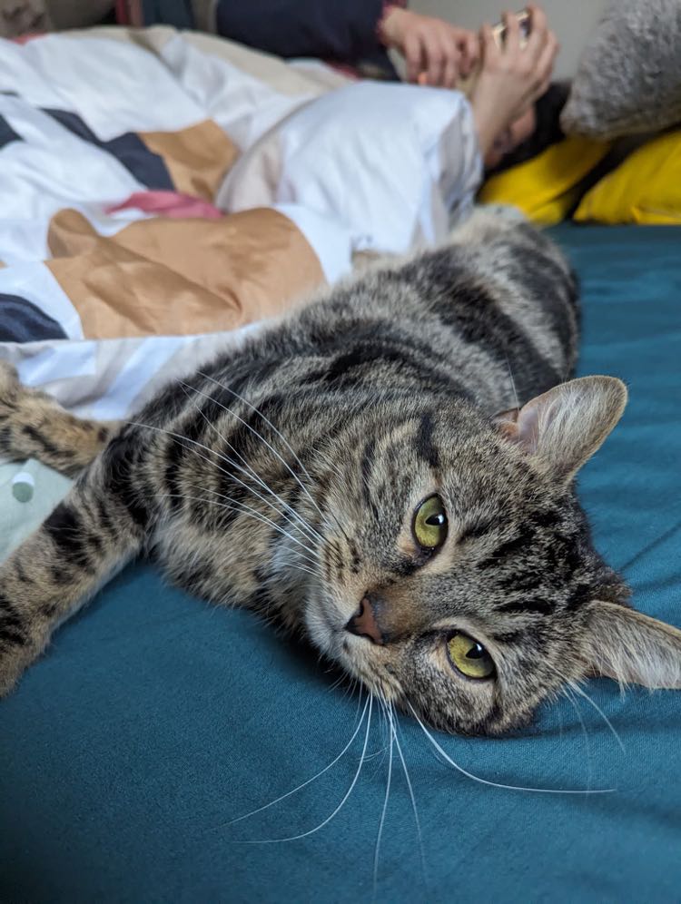 418996977_1761712834327445_2504115035346821804_n