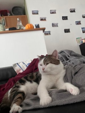 419086292_429995256351155_5269291862252004667_n