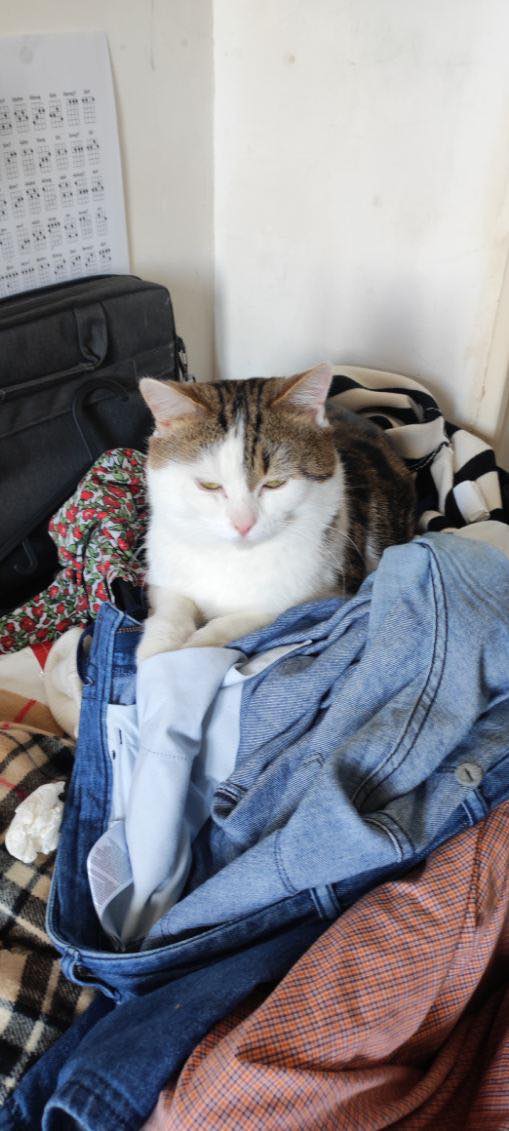 419159933_961347274859250_2943292932999662882_n