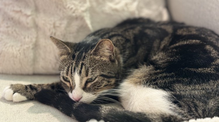 419227514_912707196804206_7496011994279367257_n