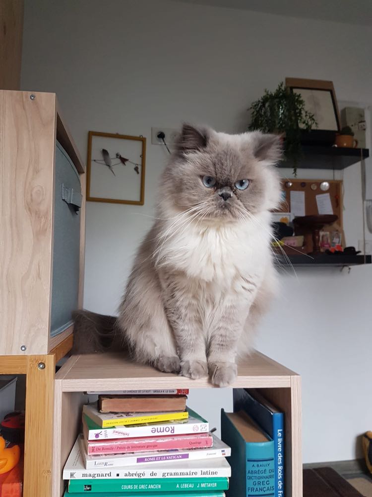 419457319_1335285333774441_809059793297192547_n