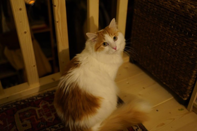 420553268_360843550221781_647117037944265169_n