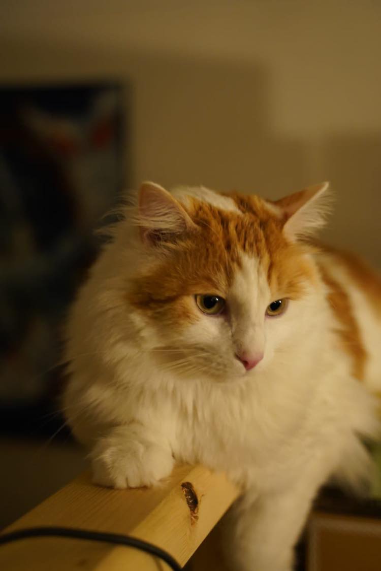 421509593_419877683712106_9062252951488809614_n