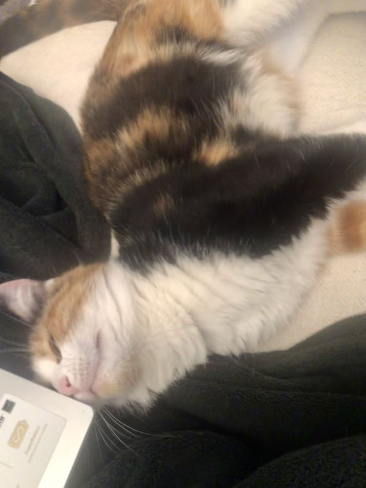 421509600_345792798276081_3313758624876272009_n