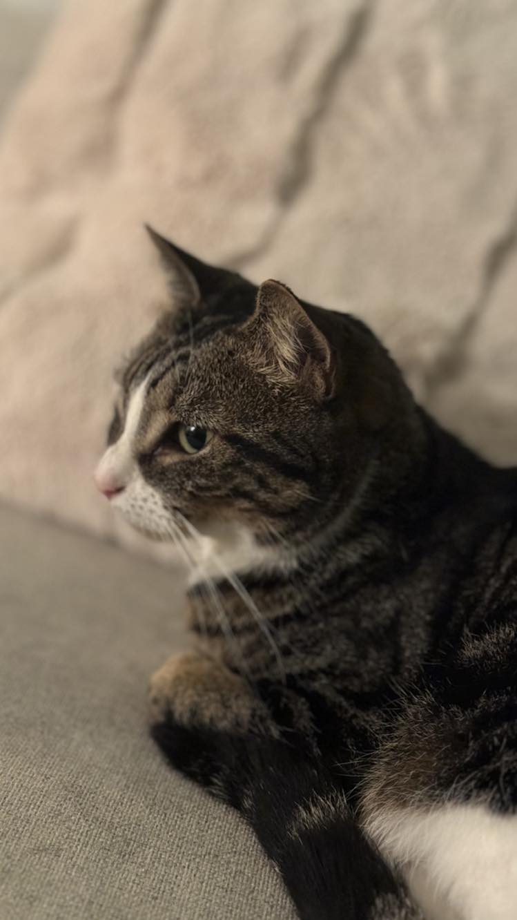 421671637_924059302129768_6884643553875905850_n