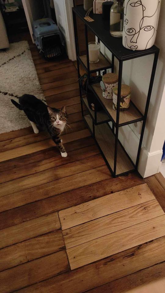 421909258_1052049259424468_6021360828047799937_n