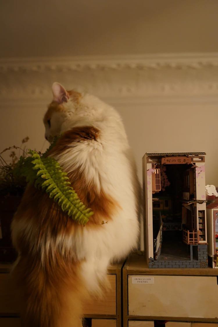 422005688_304486515514616_5955675140795466980_n