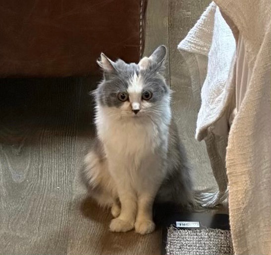 422102880_966703448380671_2817616355586830463_n