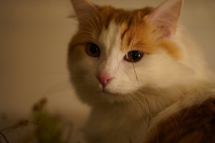 422215406_822901829881246_3557465284275393834_n