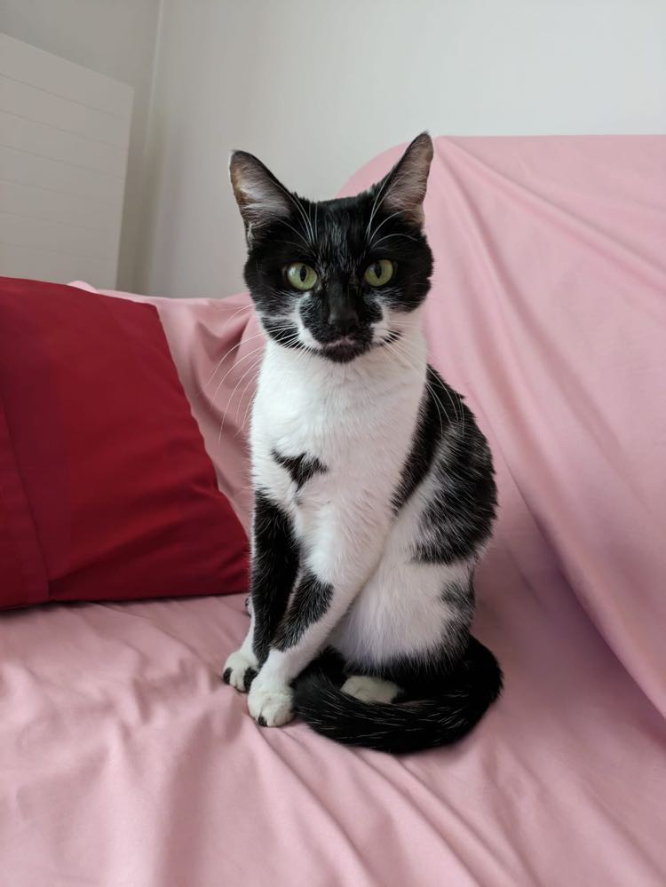 423063091_1866803307074142_5612805064456003828_n