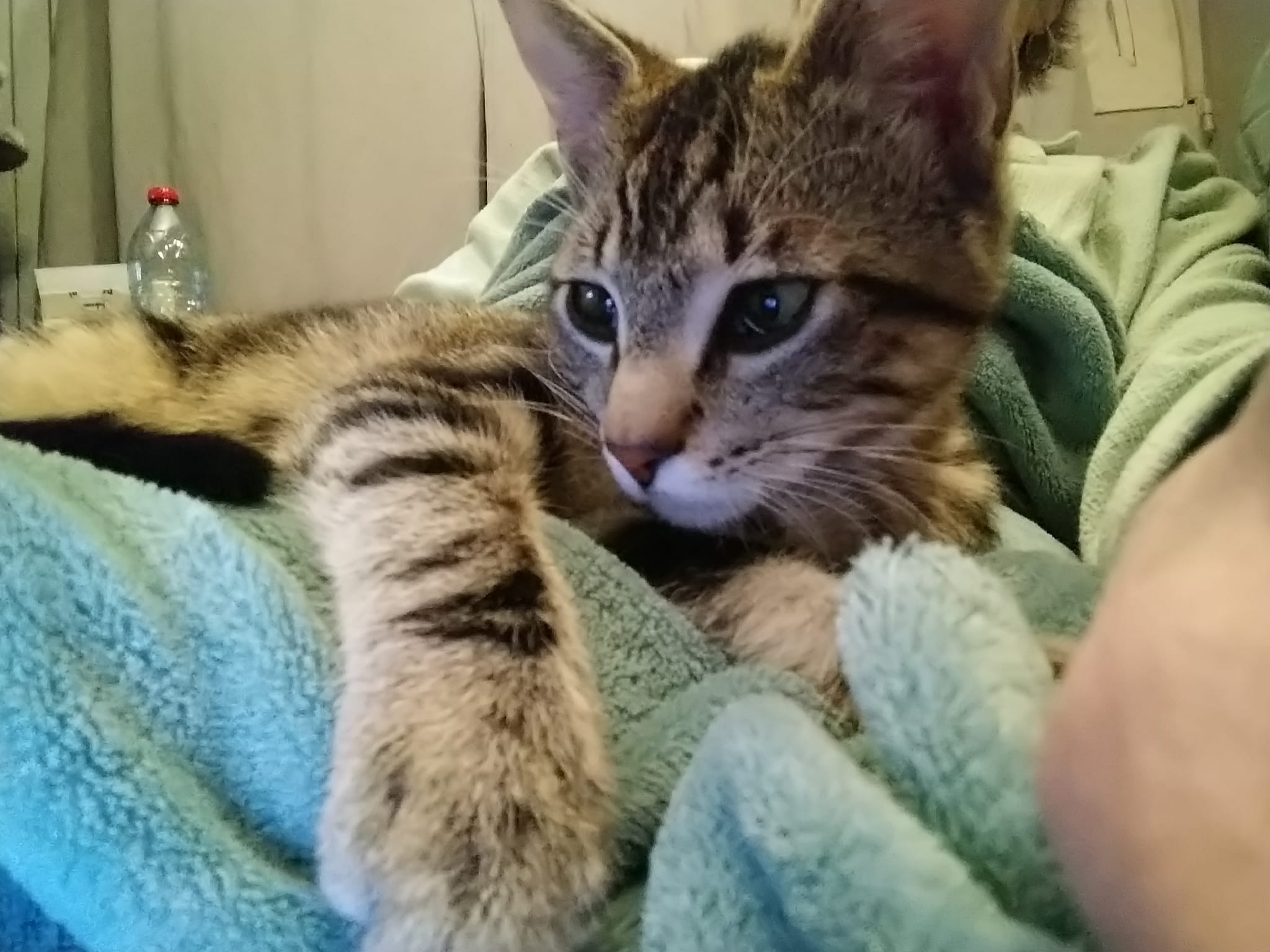 425600032_7421795001214142_8050531440835152748_n