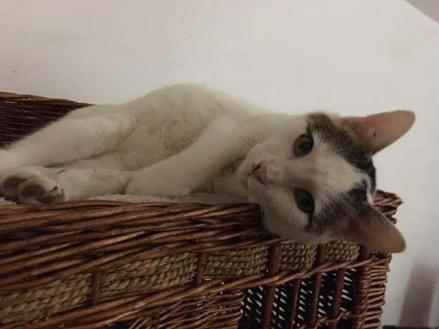 426303324_383228134314600_2804243048703588901_n